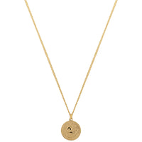Collana Zodiaco Capricorno