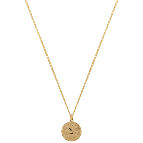 Collana Zodiaco Capricorno