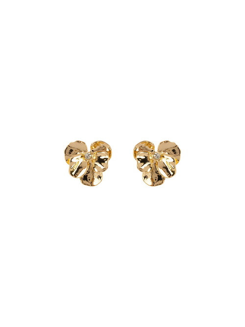Orecchini Rose Radiance