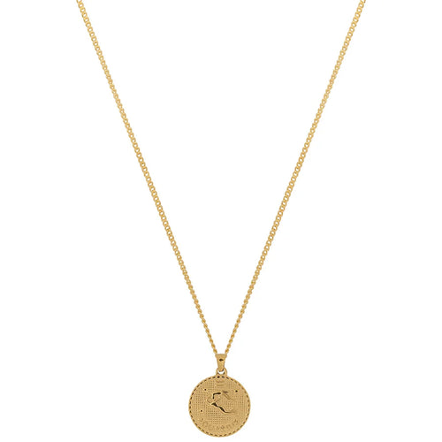 Collana Zodiaco Acquario